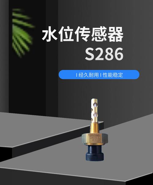 rochester电容式液位开关电容式水位传感器s286